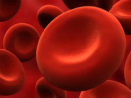 COVID-19 en RD: 9,882 casos confirmados, 385 fallecidos y 2,584 recuperados