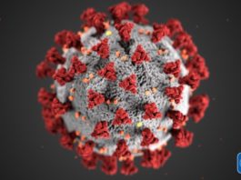 Se elevan a 15,073 los contagiados de COVID-19, los fallecidos a 460