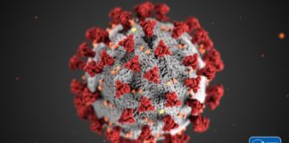 Se elevan a 15,073 los contagiados de COVID-19, los fallecidos a 460