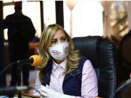 Sergia Elena alerta sobre trama para acaparar dólares remesados por los dominicanos a sus familiares