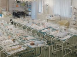 Bebés nacidos de vientres de alquiler varados en un hotel en Ucrania