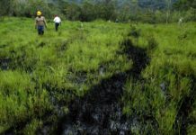 Principal oleoducto de Ecuador fue reparado y está operativo