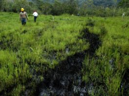 Principal oleoducto de Ecuador fue reparado y está operativo