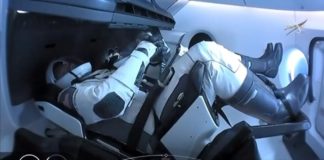 Astronautas de cápsula de SpaceX abordan la Estación Internacional tras acople exitoso