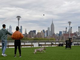 Tres regiones de Nueva York reabrirán gradualmente, pero no la Gran Manzana