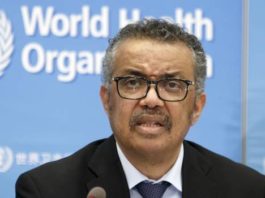 OMS: Hay 7 u 8 buenas candidatas para vacuna contra COVID-19