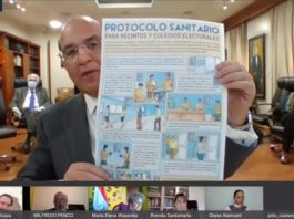 Castaños Guzmán: “JCE trabaja a todo vapor para realizar sí o sí elecciones del 5 de julio”