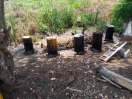 Alrededor del 60 % de las bebidas analizadas en colmados están adulteradas con metanol