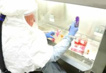 Se revela fecha para la vacuna del coronavirus; millones de dosis accesibles para todo el mundo