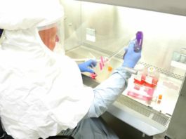 Se revela fecha para la vacuna del coronavirus; millones de dosis accesibles para todo el mundo