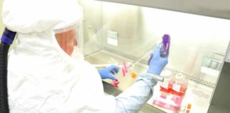 Se revela fecha para la vacuna del coronavirus; millones de dosis accesibles para todo el mundo