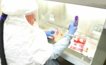 Se revela fecha para la vacuna del coronavirus; millones de dosis accesibles para todo el mundo