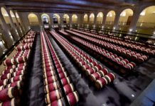 Una degustación de vinos jóvenes en Francia en tiempos de la covid-19