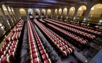 Una degustación de vinos jóvenes en Francia en tiempos de la covid-19