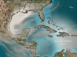 Las 3 formas en que la columna de polvo del Sahara te afectará si vives en EE.UU.