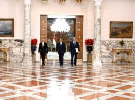 Egipto apoya a Haftar en Libia, por el momento