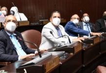 Los detalles del proyecto que entregaría el 30% del dinero de las AFP, en caso de convertirse en ley