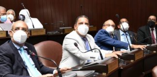 Los detalles del proyecto que entregaría el 30% del dinero de las AFP, en caso de convertirse en ley