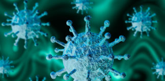 Ministerio de Salud reporta 393 nuevos casos de coronavirus en las últimas 24 horas