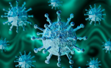 Ministerio de Salud reporta 393 nuevos casos de coronavirus en las últimas 24 horas