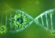 COVID-19 en RD: 11,736 recuperados y 525 fallecidos