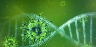 Aumentan a 17,572 los contagiados por coronavirus en RD, recuperados suman 10,893