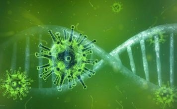 Aumentan a 17,572 los contagiados por coronavirus en RD, recuperados suman 10,893