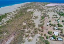 Así ha avanzado la invasión de terrenos en “Las Dunas de Baní”
