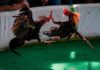 Detienen 25 jugadores de gallos por violación de medidas contra el coronavirus
