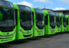 Autobuses OMSA circularán en nuevos horarios desde este domingo