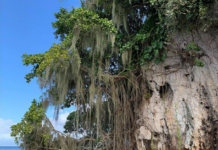 British Vogue publica otras fotos de Samaná; editor dice República Dominicana es un país hermoso