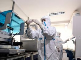 1,241 casos positivos de coronavirus, mayor cifra reportada en un día desde que inició la pandemia