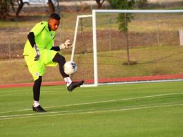 FEDOFUTBOL anuncia fases de desescalada y protocolo a implementar