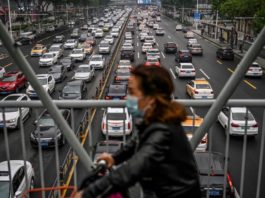 La peste bubónica no constituye una amenaza grave en China, dice la OMS