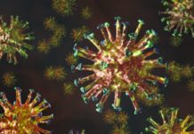 Tratamiento y prevención del coronavirus: qué son los anticuerpos monoclonales y por qué podrían ser una alternativa contra la covid-19 hasta que haya vacuna