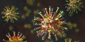 Tratamiento y prevención del coronavirus: qué son los anticuerpos monoclonales y por qué podrían ser una alternativa contra la covid-19 hasta que haya vacuna