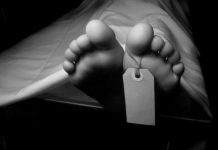 Tres nacionales haitianos mueren electrocutados en Puerto Plata