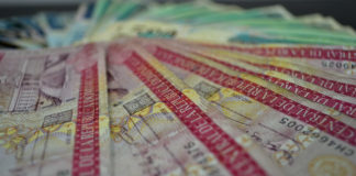 Gobierno ya ha desembolsado RD$15,530 millones de pesos en Regalía Pascual