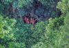 La extraordinaria visita de unos indígenas aislados a una remota aldea de Brasil