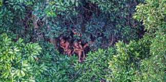La extraordinaria visita de unos indígenas aislados a una remota aldea de Brasil