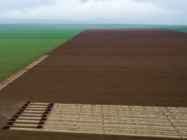 Ferrograo, el controvertido proyecto de tren amazónico de los granos