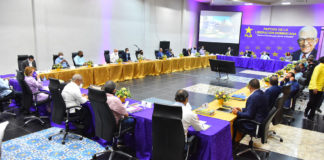 Para sobrevivir, PLD necesita renovación y adaptar el discurso