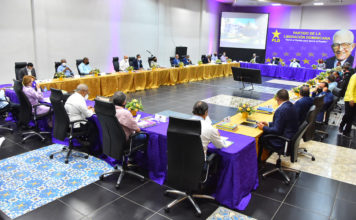 Para sobrevivir, PLD necesita renovación y adaptar el discurso