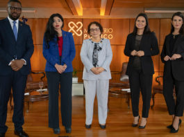 Procuradora dice se van a investigar declaraciones juradas