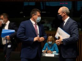 La UE adopta criterios comunes sobre restricciones de viajes dentro del bloque por la pandemia