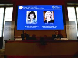 Dos mujeres genetistas de Francia y EEUU ganan el Nobel de Química