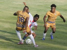 O&M vence a San Cristóbal en inicio LDF 2020