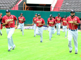 Salud Pública dispone la suspensión de los Gigantes del Cibao hasta el lunes por casos de COVID-19