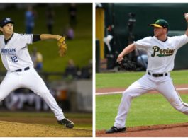 Carlton y Harman son los nuevos refuerzos del Escogido