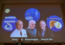 Nobel de Medicina para tres descubridores del virus de la hepatitis C, en plena pandemia
